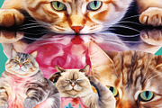 Not Yoga Cats, an Animal Illustration by TheCuteShop (Thumbnail 8 of 17)