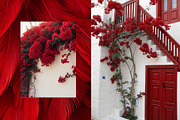 Cherry Coded Girl Aesthetic Image, a Beauty & Fashion Photo by Helospace (Thumbnail 9 of 10)