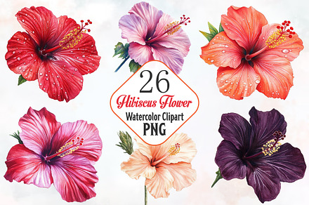 Hibiscus Flower Watercolor ClipArt's, an Illustration by RobertsArt