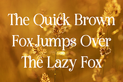 Bestogram - Logo Font, a Serif Font by RockboyStd (Thumbnail 7 of 12)