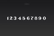 ARGENTUM - Vintage Serif Font, a Serif Font by vix.vix (Thumbnail 5 of 6)