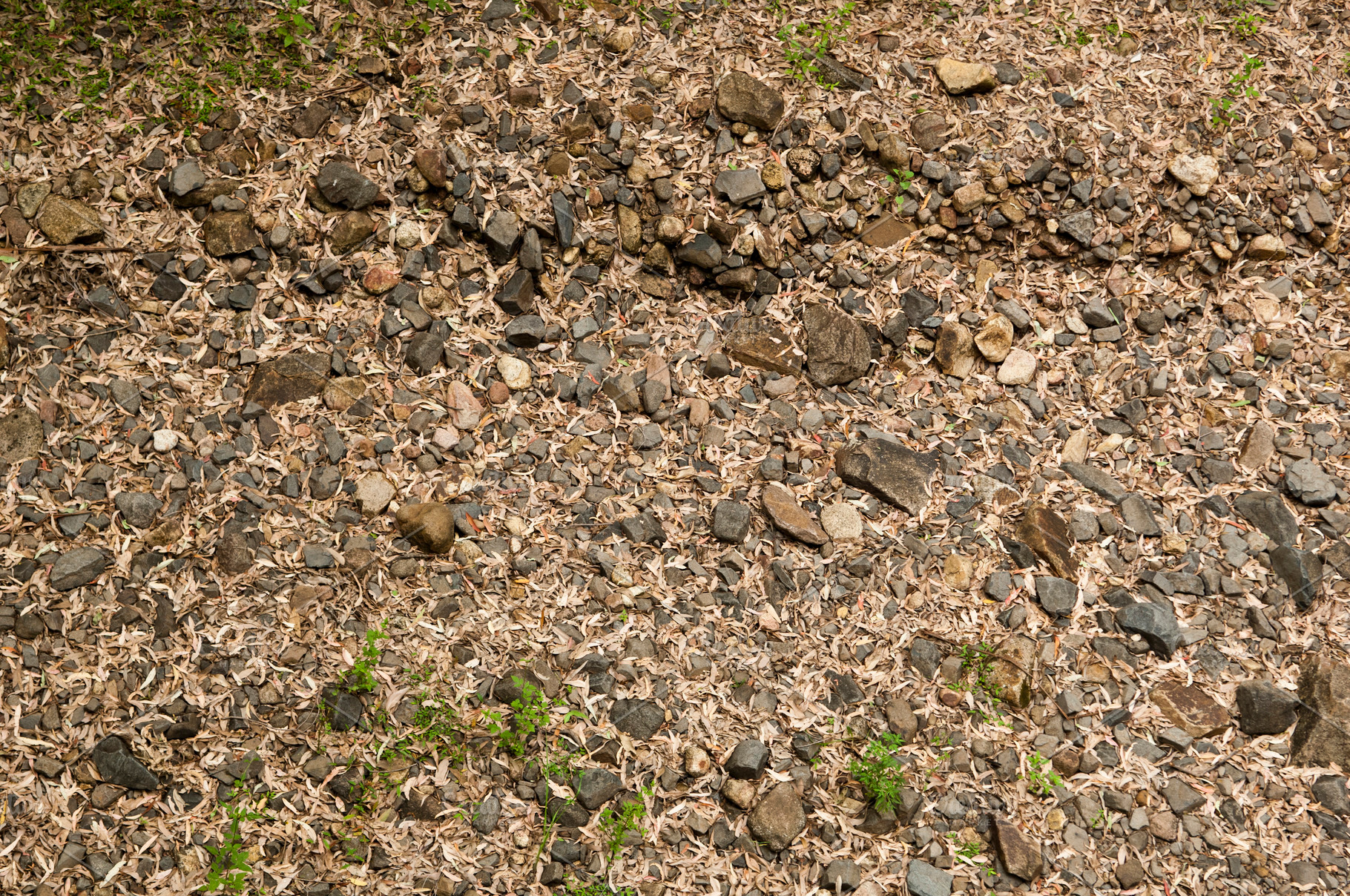 Empty Riverbed, a Nature Photo by THP Creative