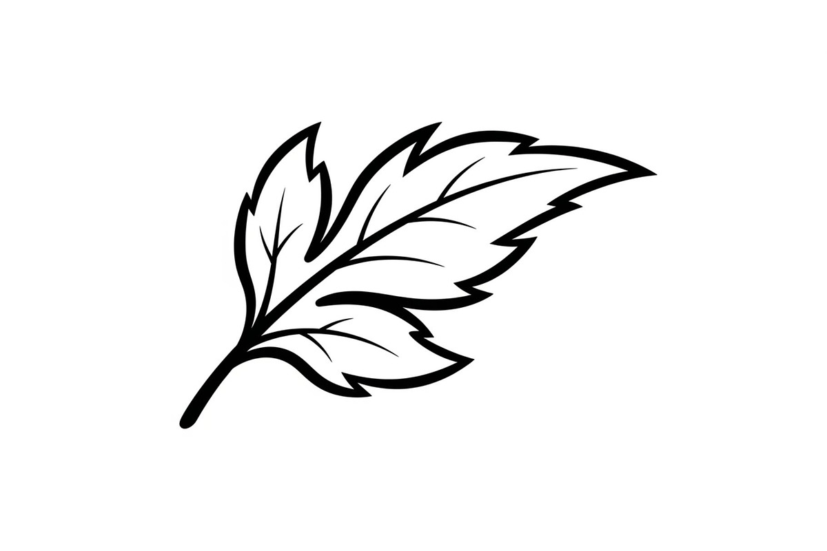 Hand Drawn Leaf Line Art Bundle, an Illustration by hafijul (Photo 49 of 51)