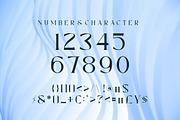 Fortune Basic, a Serif Font by elevencreateam (Thumbnail 4 of 9)