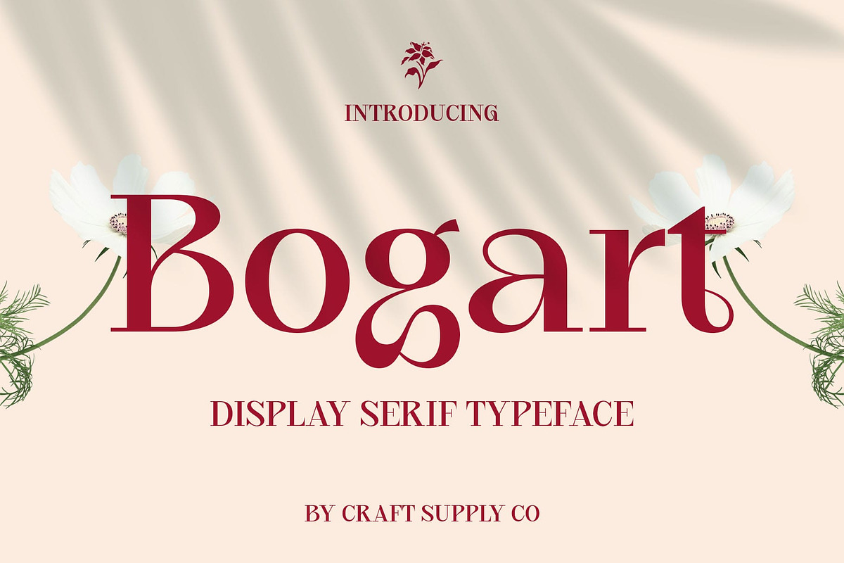 CS Bogart – Aesthetic Font, a Serif Font by Craft Supply Co. (Photo 1 of 8)
