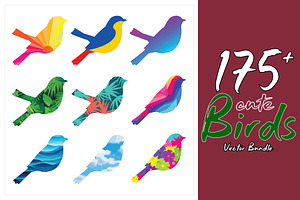 175 Vibrant bird vector bundle