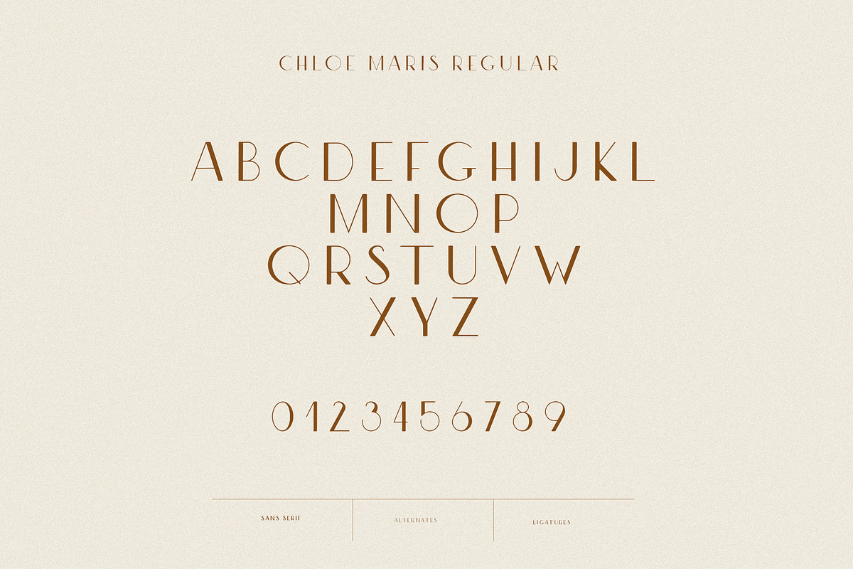 Modern Ligature Sans Serif Font, a Sans Serif Font by Laras Wonderland (Photo 10 of 17)