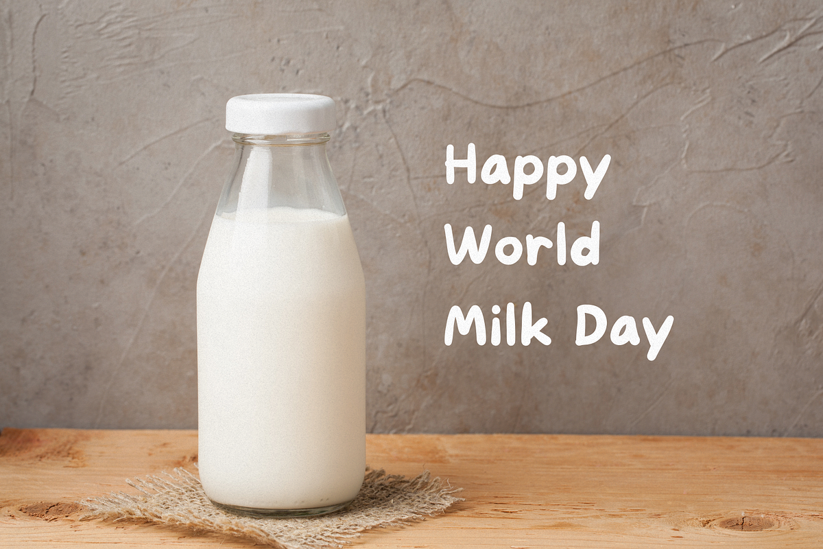 Milkman | A Handwritten Font, a Handwritten Font by EGAFontStudio (Photo 4 of 8)