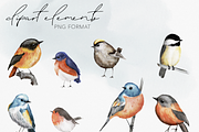 Birds & Botany: Watercolor Frames, a Texture Illustration by Wooly Pronto (Thumbnail 3 of 6)