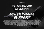 Rough Splash - Brush Font, a Handwritten Font by Dumadistyle (Thumbnail 4 of 9)