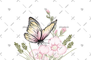 Butterflies Watercolor Cliparts