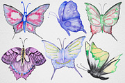 Watercolor Butterfly set #1, an Object Graphic by IvanFet (Thumbnail 5 of 8)