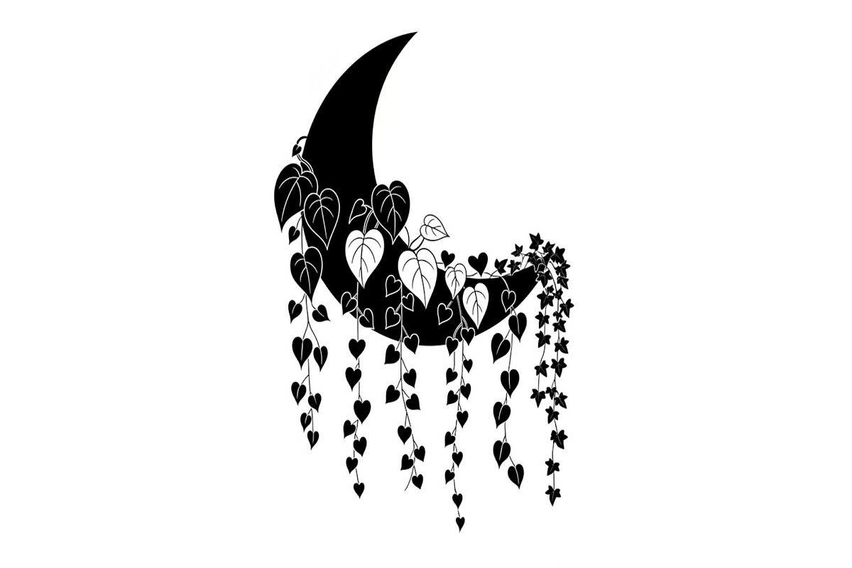 Hanging Moon with Plants Bundle, an Illustration by Designs_River (Photo 20 of 31)
