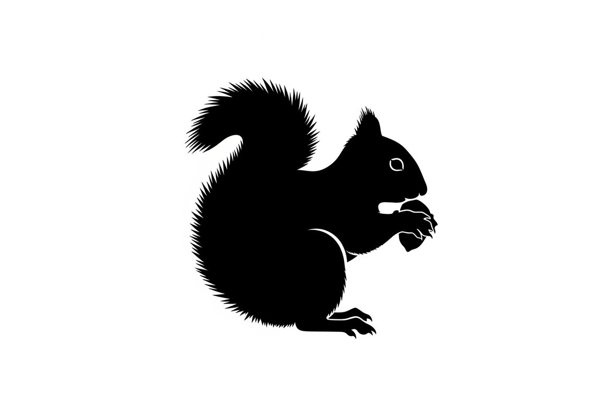 Black Squirrel Vector Icon Bundle, an Illustration by jahid234 (Photo 39 of 51)