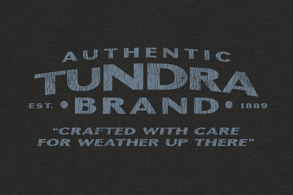 Badge Sans | Vintage Display, a Sans Serif Font by StudioWorks (Photo 5 of 10)