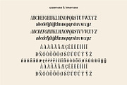 Soulmate Vasque Editoral Serif Font, a Serif Font by WhymoreArt (Thumbnail 9 of 10)