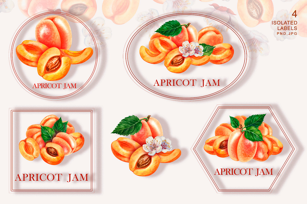 Apricot Jam & Juice, watercolor, a Food Illustration by EL_SUHOVA (Photo 11 of 14)