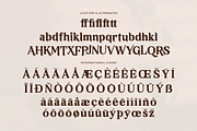 Neraphic A Modern Serif Font, a Serif Font by Storytype Studio (Thumbnail 14 of 15)