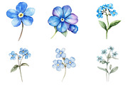 Forget Me Not Flower Bloom Clipart, an Illustration by cherrydesign (Thumbnail 2 of 4)