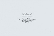 Botanical Decorative Elements, a Decorative Illustration by Solana (Thumbnail 2 of 6)