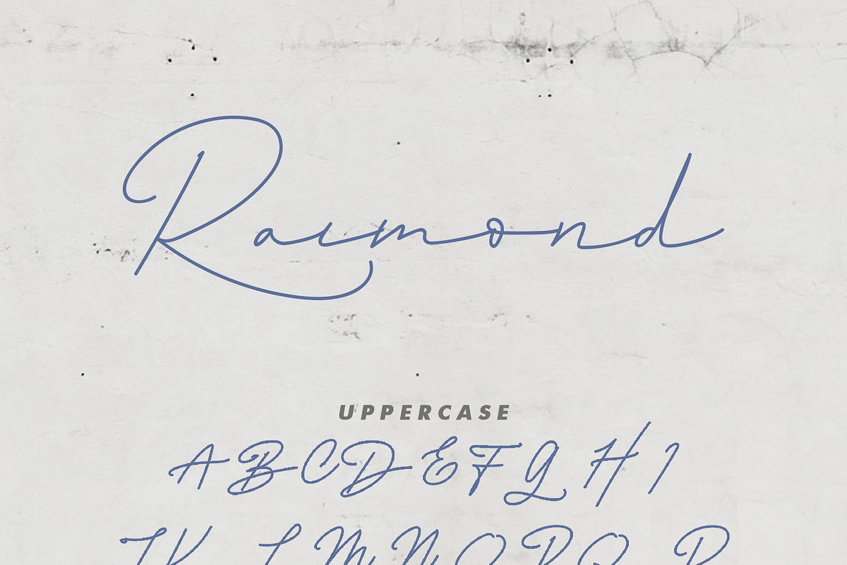 Raimond - Elegant Script preview 6