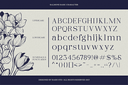 Ralmone Modern Display Serif Font, a Serif Font by Rasio Studio (Thumbnail 2 of 10)