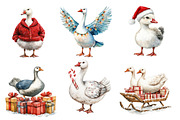 Christmas Silly Goose PNG Clipart, an Illustration by Designworld (Thumbnail 4 of 6)