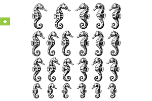 Seahorse Icons, an Object Graphic by RT Studio