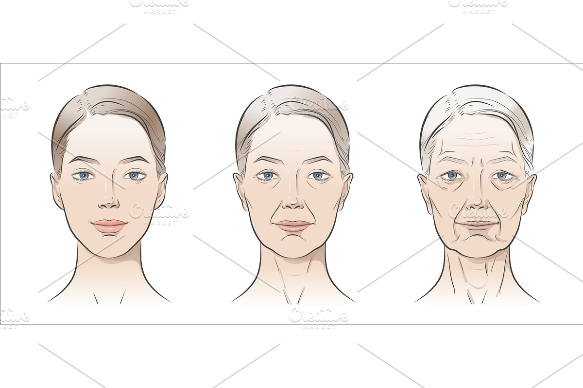 Woman’s face sketch, line vector, a Person Illustration by Alltruecolours