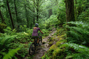 Mountain biking through a lush green, a Photo by Pavel_design