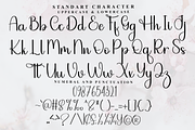 Alphabet Handwriting, a Handwritten Font by FreshTypeINK (Thumbnail 3 of 8)