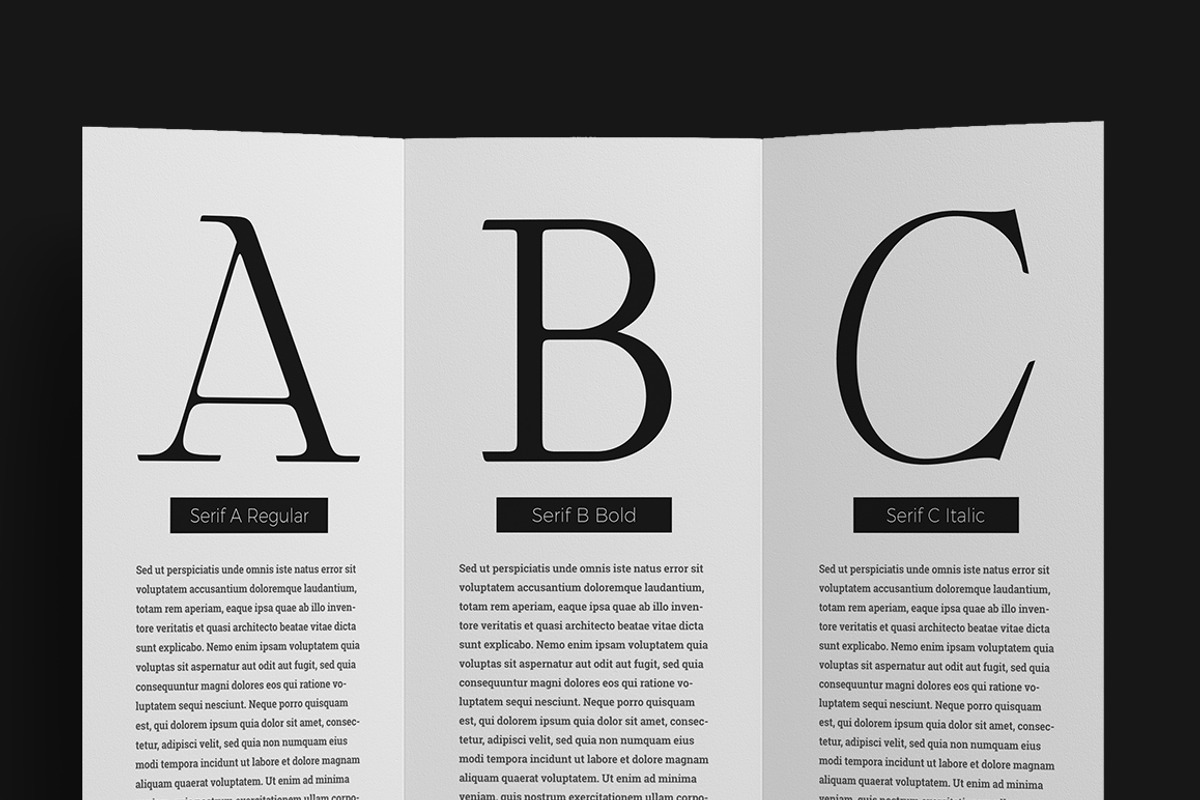 Respace, a Serif Font by Dora Typefoundry (Photo 5 of 21)