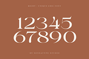 Richy - Unique Chic Font, a Serif Font by Sensatype (Thumbnail 19 of 21)