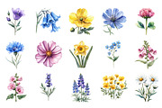 Wildflower Meadow Clipart, an Illustration by Designking (Thumbnail 3 of 5)