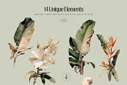 Tropical - watercolor illustrations, a Decorative Illustration by AI Crafted Magnolia (Thumbnail 4 of 13)