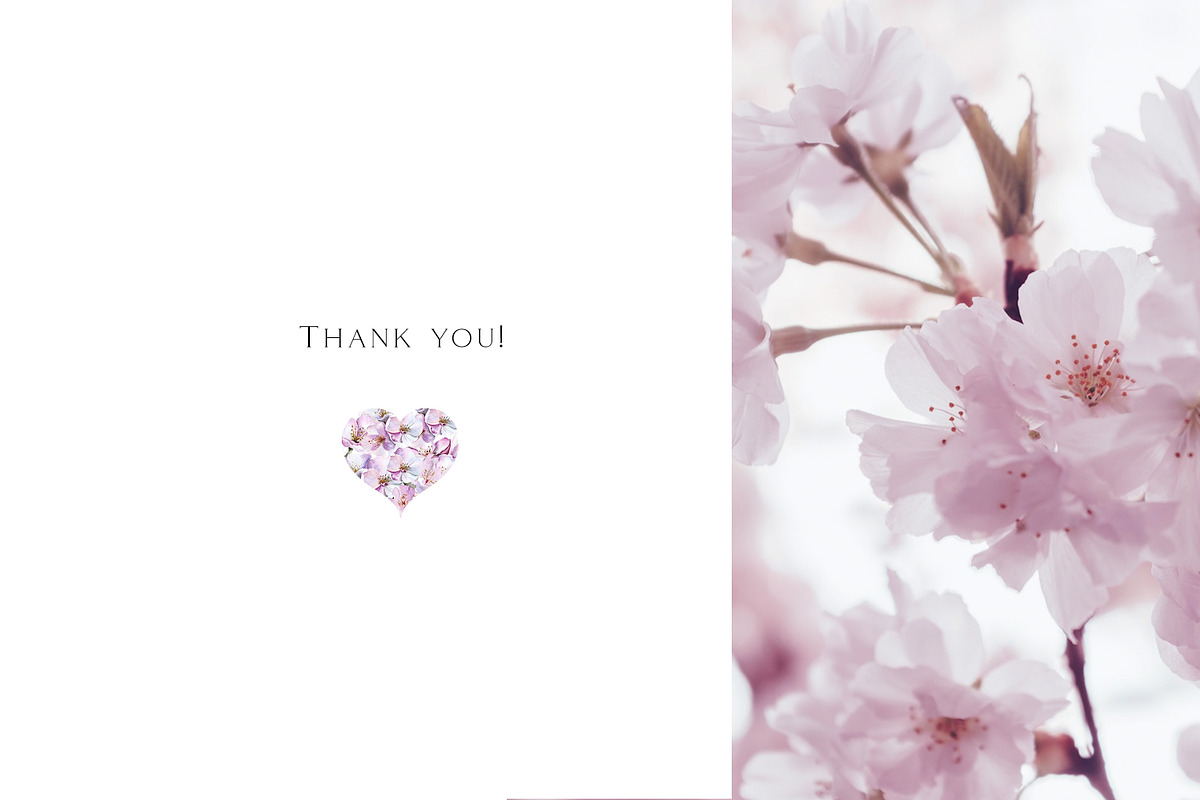 Cherry Blossom Watercolor, a Decorative Illustration by Olga Koelsch (Photo 9 of 9)