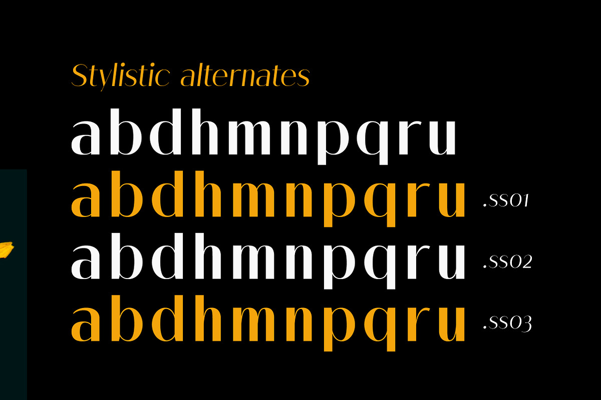 Melloida High Contrast Sans Family, a Sans Serif Font by Lettertype Studio (Photo 4 of 15)