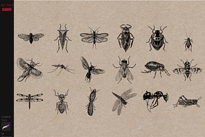 Procreate Tattoo Stamps Insects Bugs