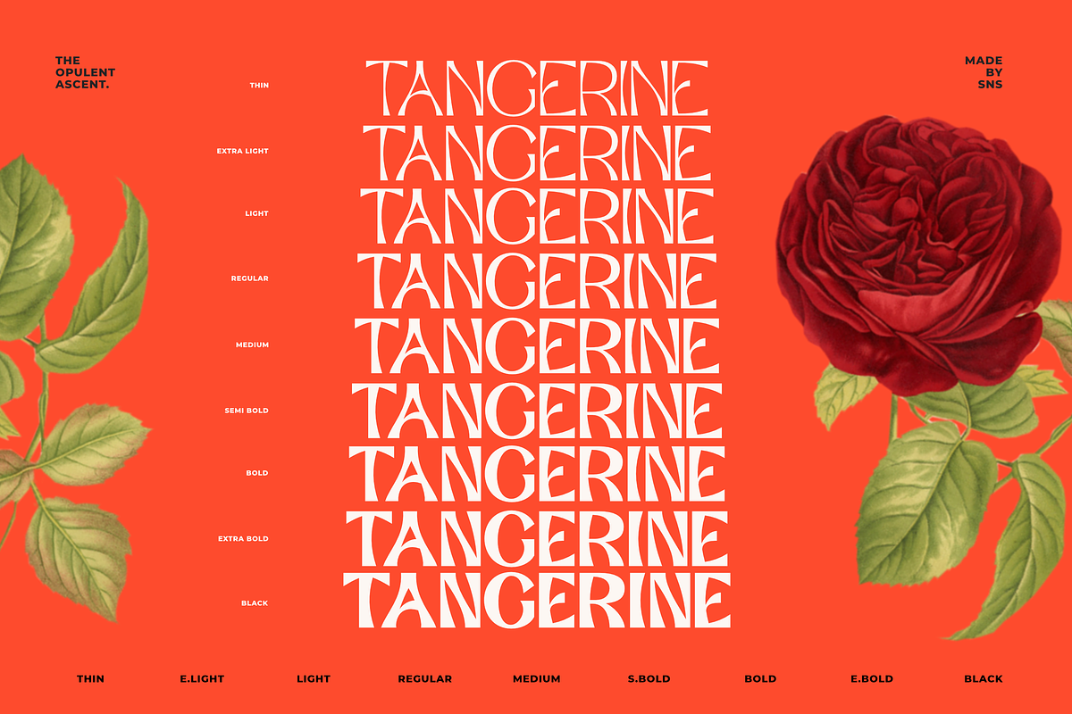 Opulent Ascend - 9 Font Family, a Sans Serif Font by Sans & Sons (Photo 8 of 10)