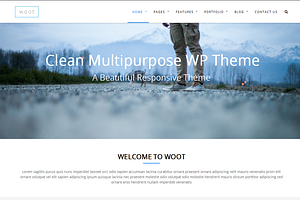 Woot-Multipurpose Responsive WPTheme