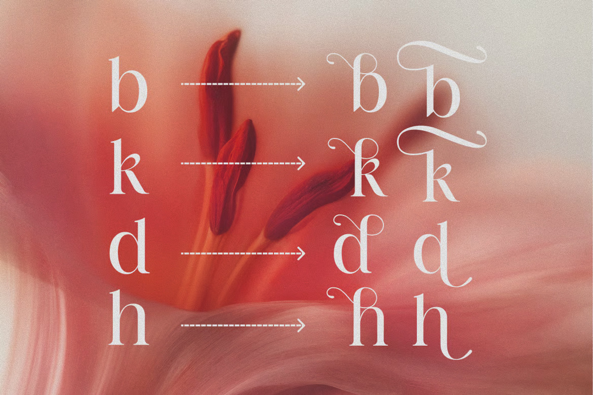 Barklie - A Nostalgic Serif Typeface, a Serif Font by Brand Earth (Photo 4 of 8)