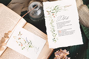 Line-thin watercolor wildflowers, a Decorative Illustration by Pamyatka Shop (Thumbnail 8 of 16)