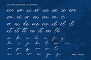 Amely Shine - Beautiful Script Font, a Font by Salamahtype (Thumbnail 7 of 8)