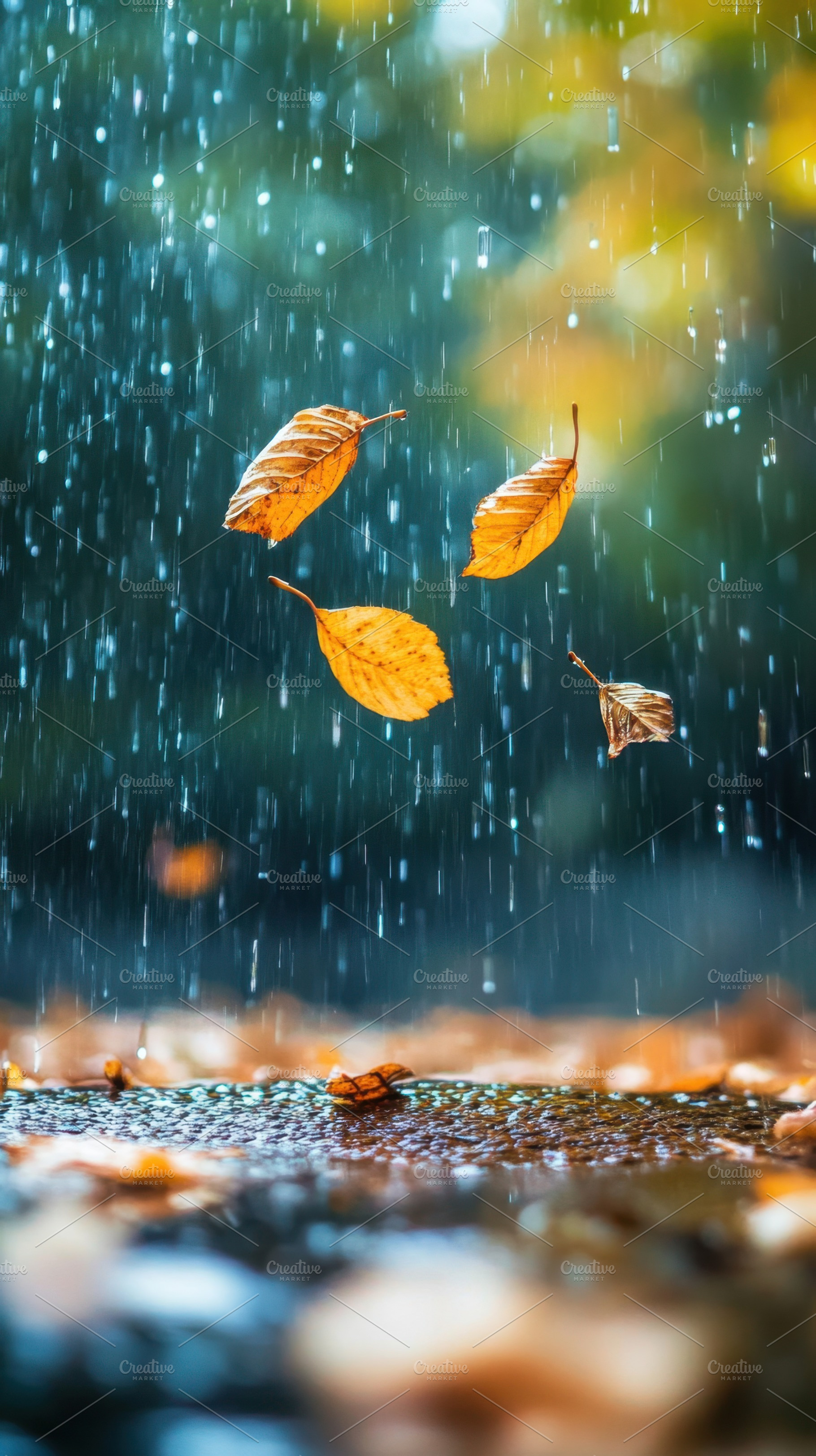 Golden leaves falling in the rain, a Photo by Beautiful things