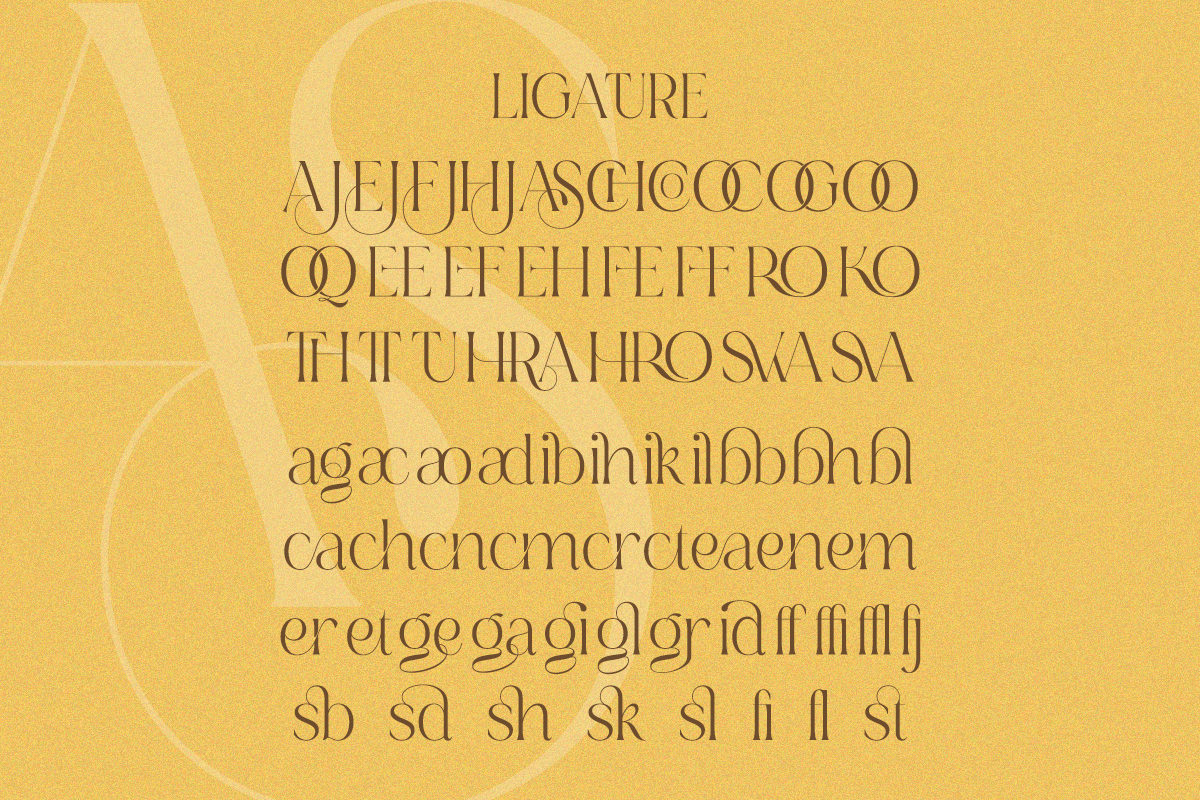 Renea - Modern Minimal Elegant Serif, a Serif Font by Qweera Studio (Photo 11 of 12)