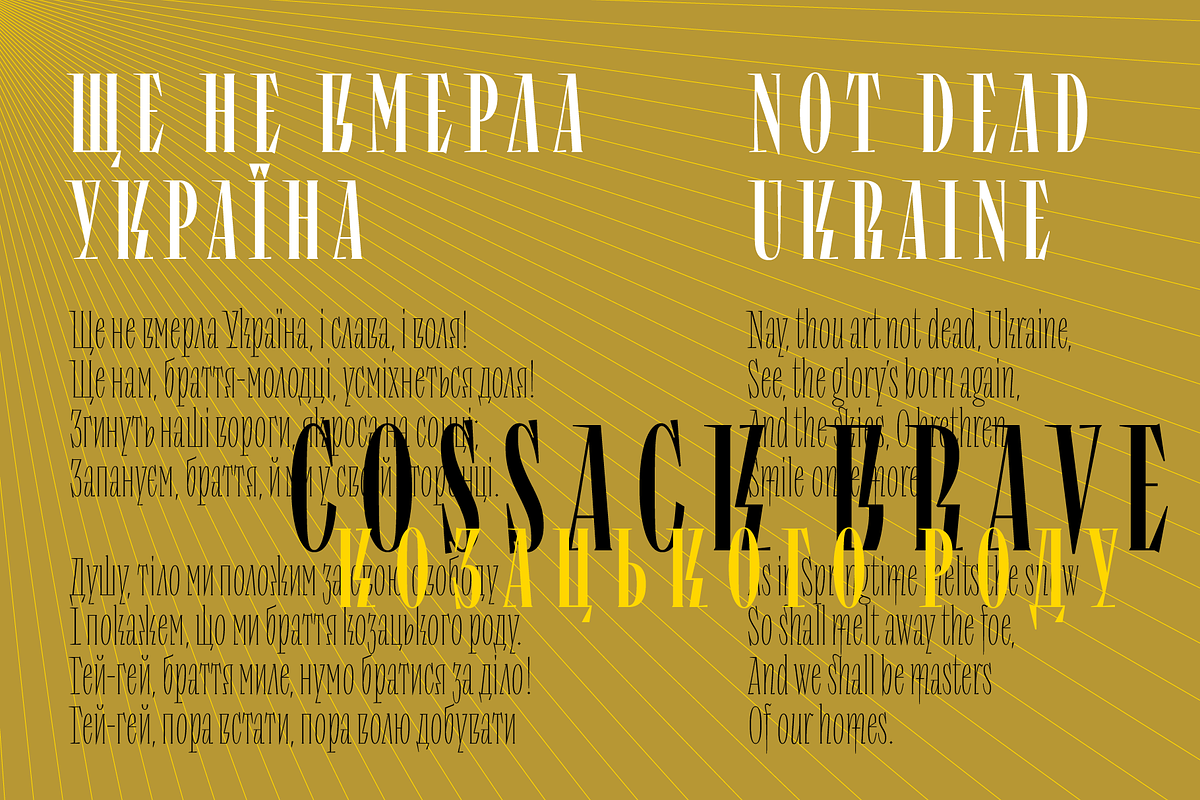 Repyakh Variable, a Serif Font by LevType (Photo 12 of 14)