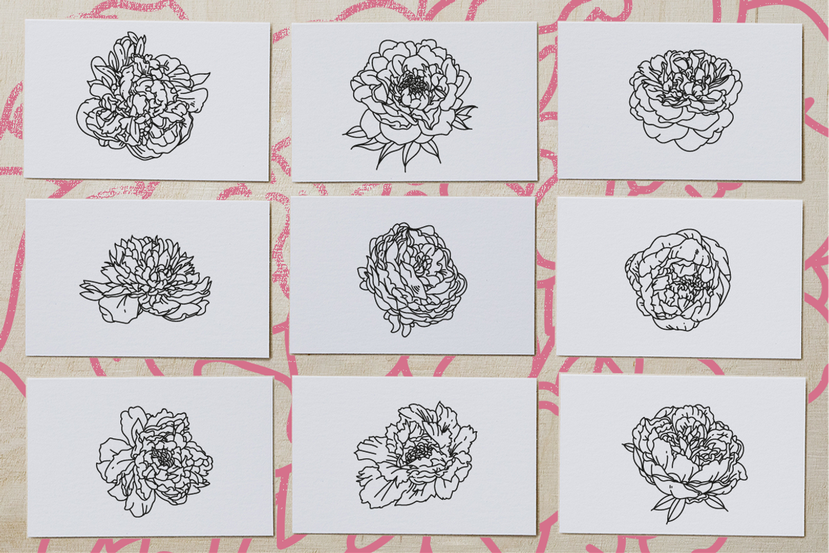 50 Peony Flower Vector Illustrations, an Illustration by Inkwell Supply Co (Photo 4 of 20)