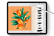 Sketch Box for Procreate, a Brush Add-On by Liquid Amethyst Art (Thumbnail 2 of 8)