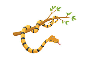 Cartoon color snake. Cute, an Animal Illustration by Things for designers