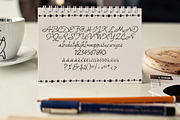 Robix Typeface +Extras, a Script Font by MoonfishStudio (Thumbnail 4 of 5)